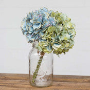 Load image into Gallery viewer, Hydrangea Bundle