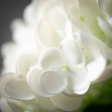 Load image into Gallery viewer, Freshcut White Hydrangea Spray