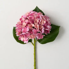 Load image into Gallery viewer, Freshcut Fuschia Hydrangea Spray