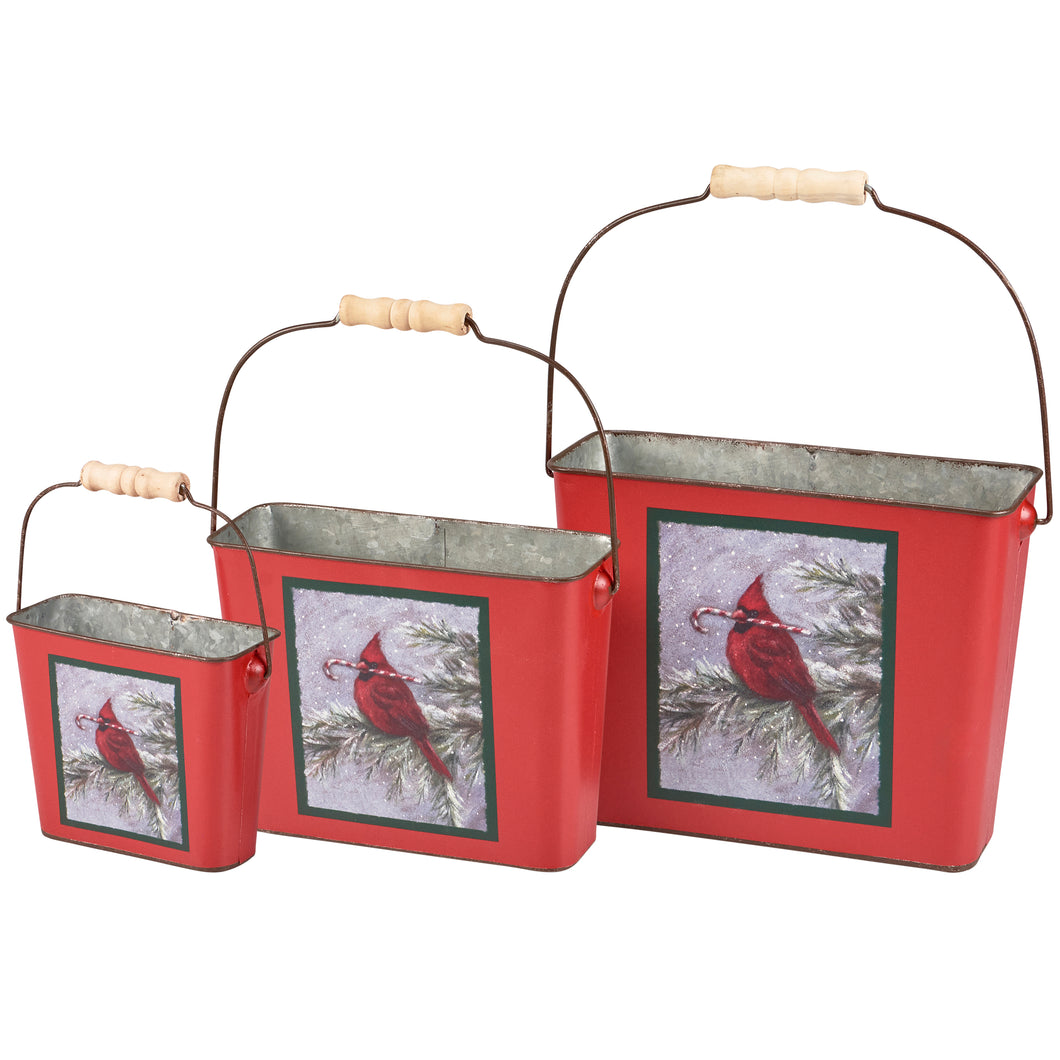 Winter Cardinal Buckets