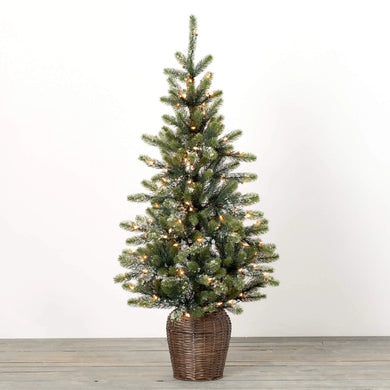 4' Potted Lit Iced Pine Tree