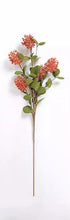 Load image into Gallery viewer, Thistle Bush