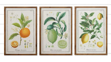 Load image into Gallery viewer, Framed Citrus Print Sign