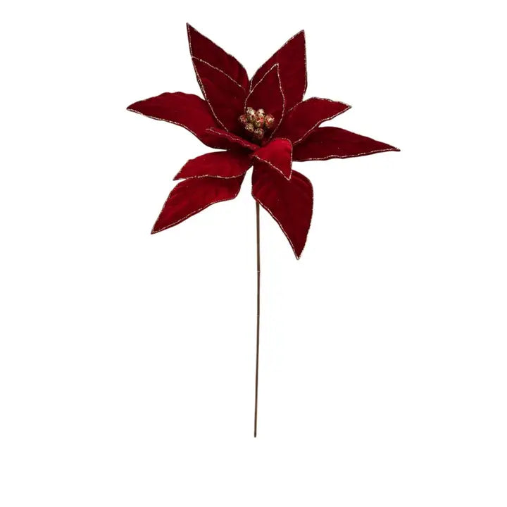 Deep Red Royal Velvet Gold Edge Poinsettia Stem