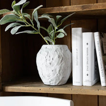 Load image into Gallery viewer, Ambrosine Vase White