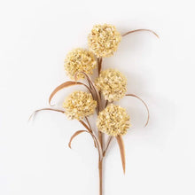 Load image into Gallery viewer, Cream Puff Spray