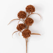 Load image into Gallery viewer, Brown Puff Spray