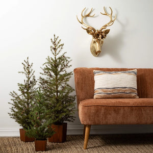 Potted Cedar Pinecone Tree