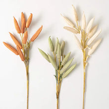 Load image into Gallery viewer, Fall Dried Okra Stem