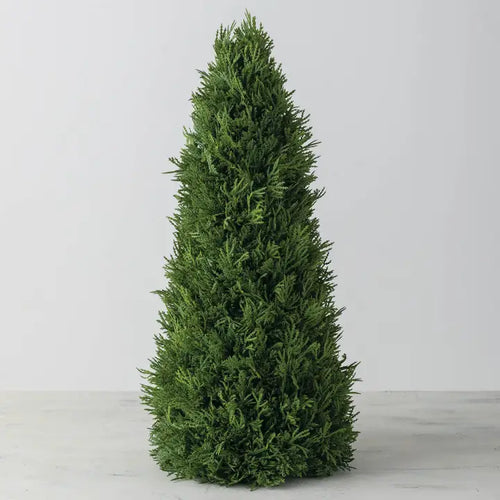 Cone Shaped Cedar Tree