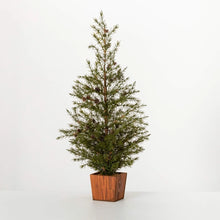 Load image into Gallery viewer, Potted Cedar Pinecone Tree