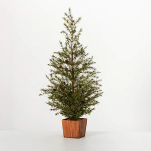 Potted Cedar Pinecone Tree