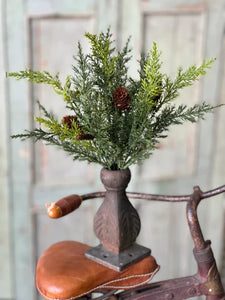 Prickly Pine Bush 14”