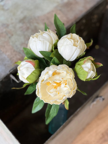 White Peony Bundle