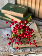 Load image into Gallery viewer, Weatherproof Berry &amp; Leaf Bundle