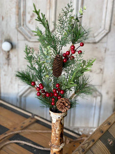 Tannenbaum Pine Spray