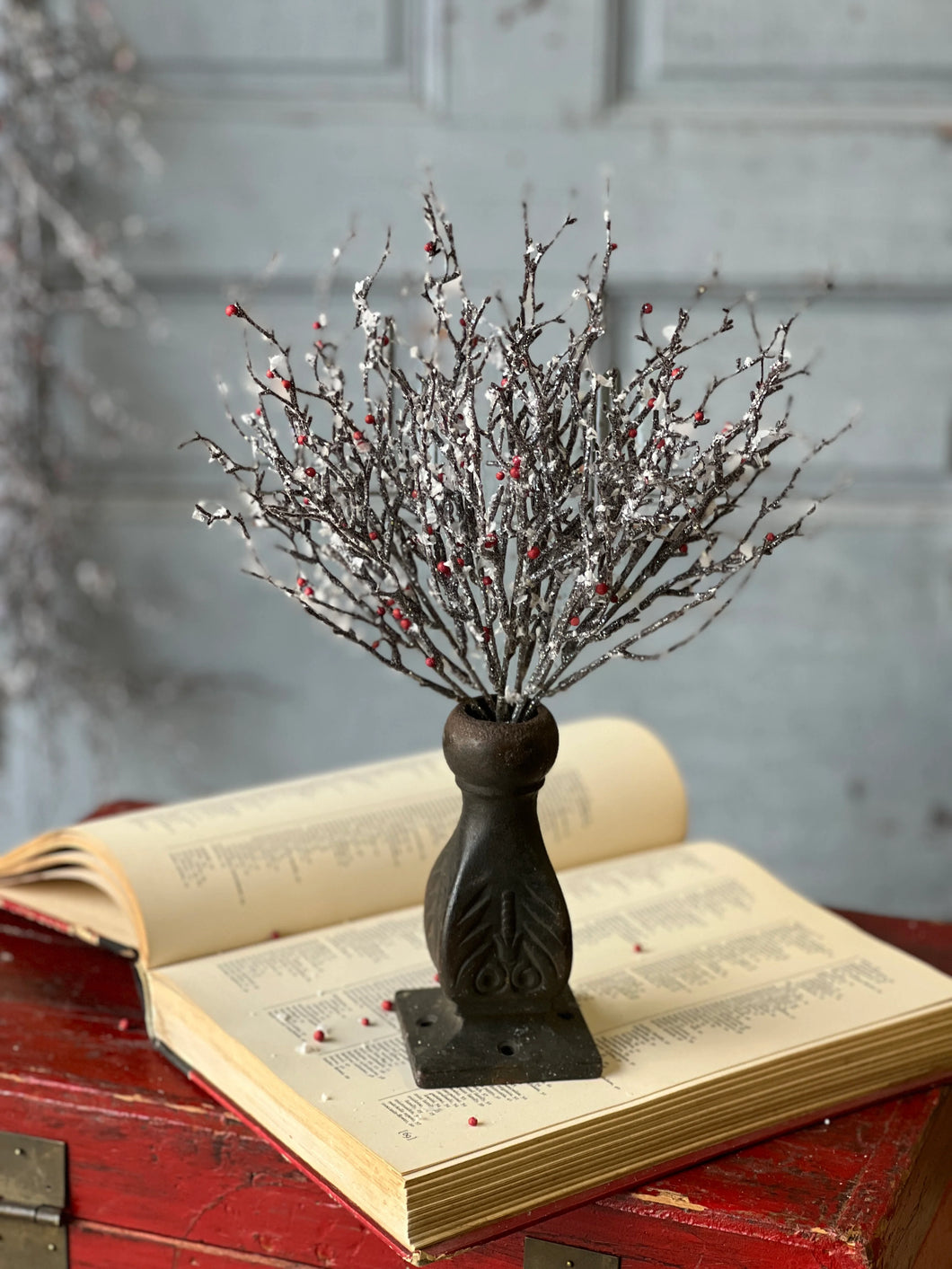 Star Struck Berry Branch Bush