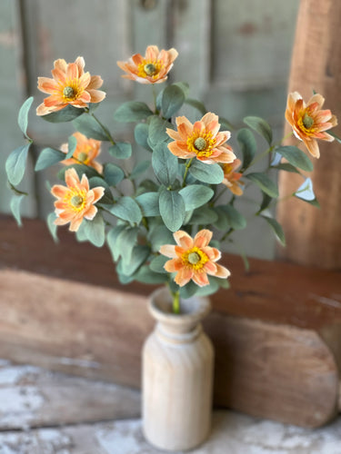 Foxtrot Blooms Tangerine