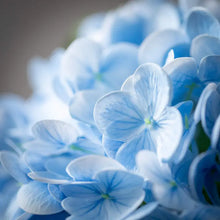 Load image into Gallery viewer, Freshcut Vivid Blue Hydrangea Spray