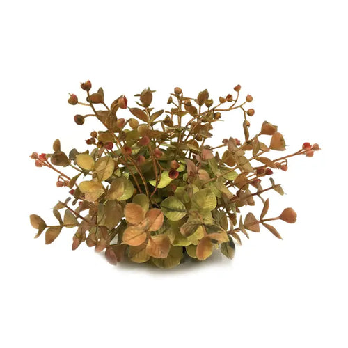 Fall Eucalyptus Half Orb
