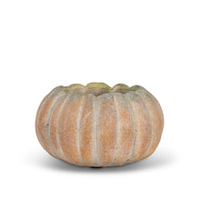 Load image into Gallery viewer, Cement Pumpkin Planter