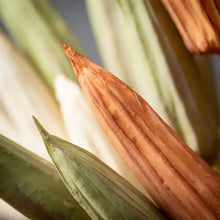 Load image into Gallery viewer, Fall Dried Okra Stem