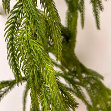 Load image into Gallery viewer, Natural Touch Norfolk Pine Garland