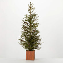 Load image into Gallery viewer, Potted Cedar Pinecone Tree