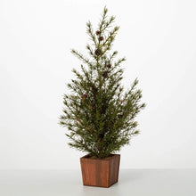 Load image into Gallery viewer, Potted Cedar Pinecone Tree
