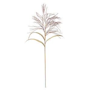 Fall Wild Millet Grass