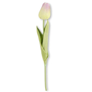 Tulip Stem