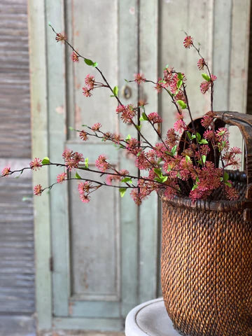Starburst Blooms Rosewood