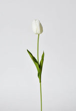 Load image into Gallery viewer, Tulip Stem
