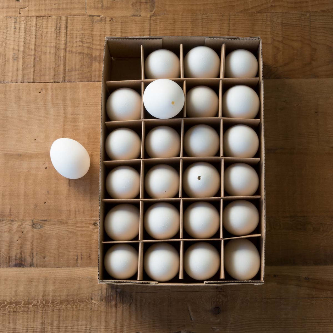 Natural White Chicken Egg Shells, Set of 24
