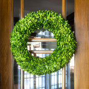 Preserved Boxwood Wreath Large