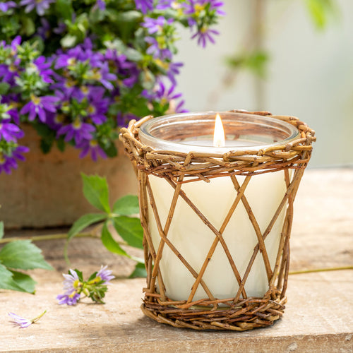 Lemon Verbena Willow Candle