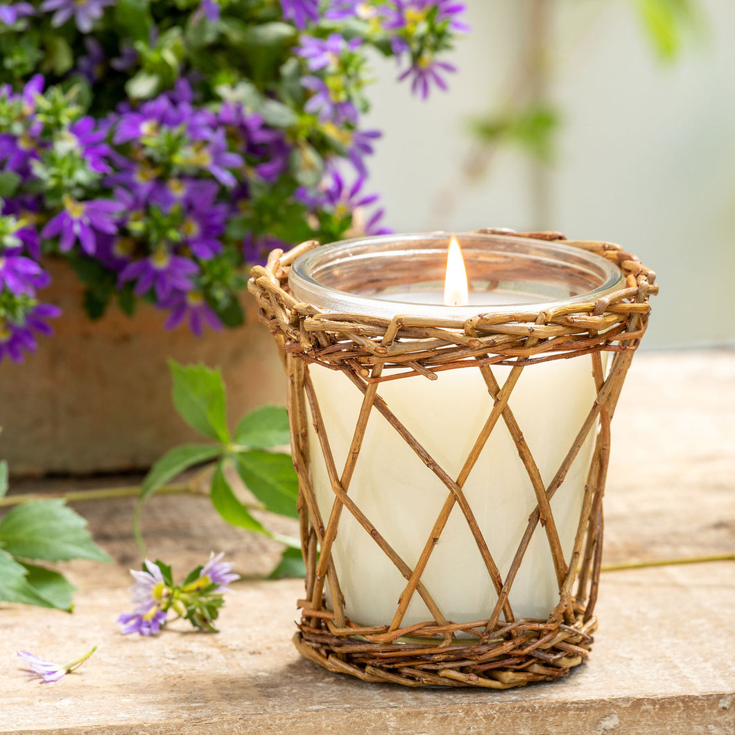 Lemon Verbena Willow Candle