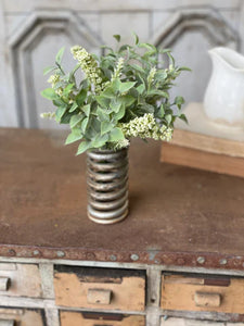 Wild Wonder Bush Cream 11"