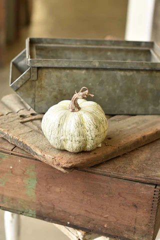 Fall's Flush Pumpkin 4.5