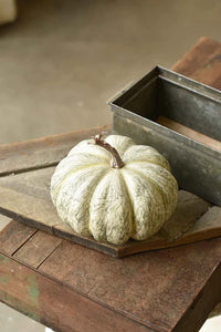 Fall's Flush Pumpkin 7.5"