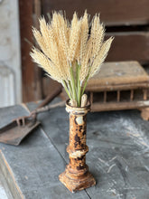 Load image into Gallery viewer, Sungold Barley Bundle