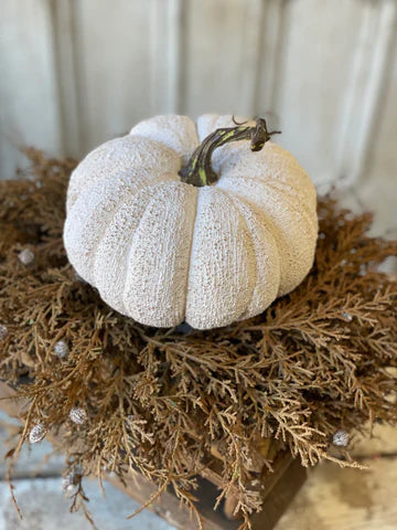 Full Moon Pumpkin 6.5