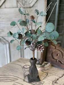 Branching Eucalyptus Pick