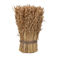 Load image into Gallery viewer, Dried Natural Harvest Grass Standing Bundle