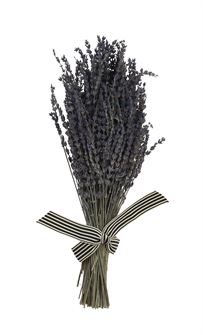 Dried Lavender Bunch w/ Ribbon