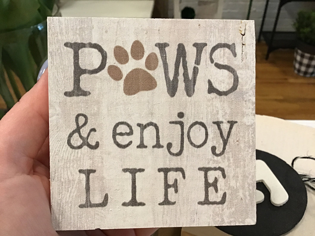 Paws And Enjoy