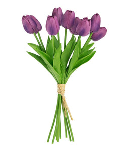 Tulip Stem